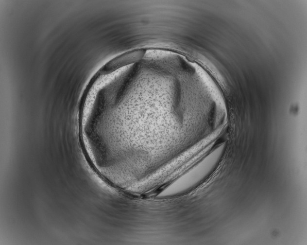 X0000099531092200806061426