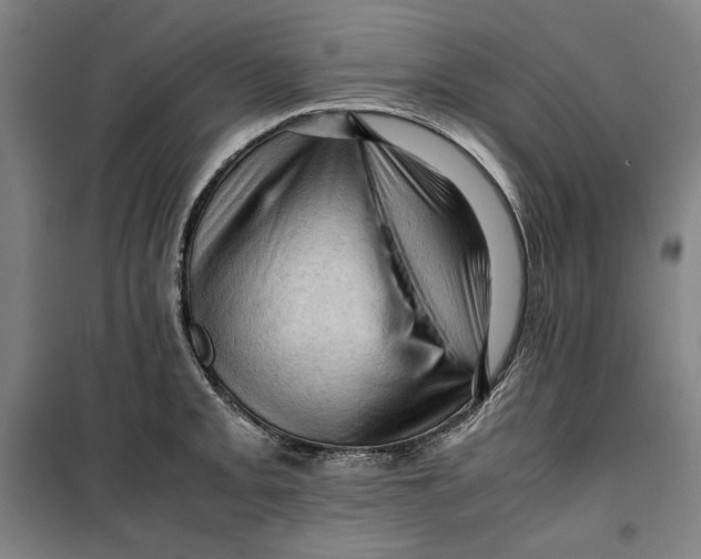 X0000099531093200806061426