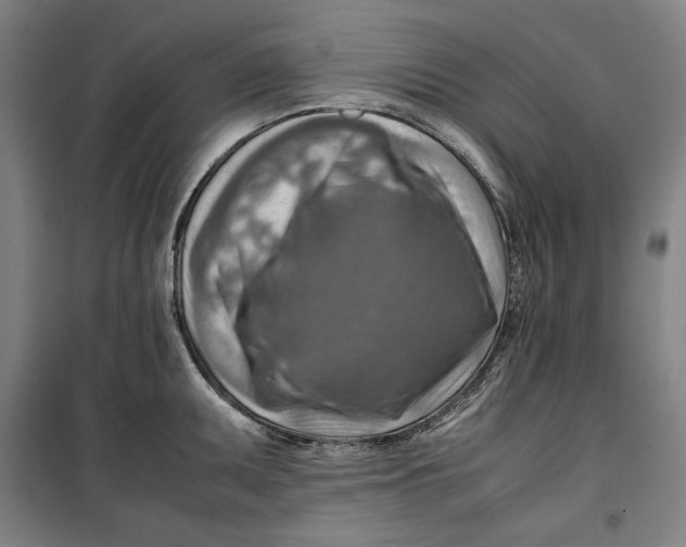 X0000099531095200806061426