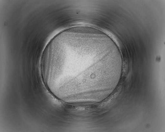 X0000099531098200806061426