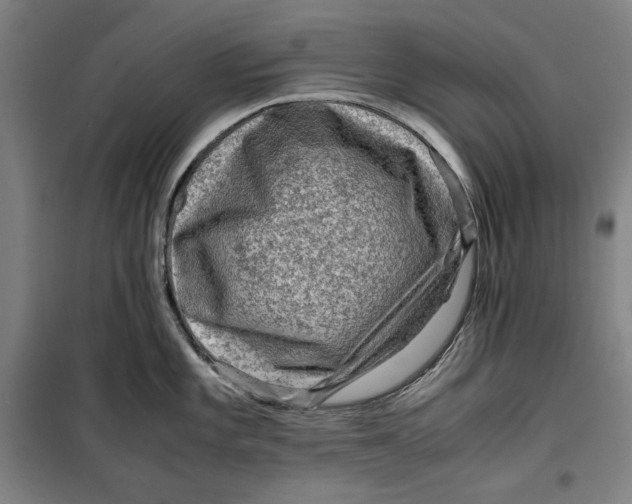 X0000099531101200806061426