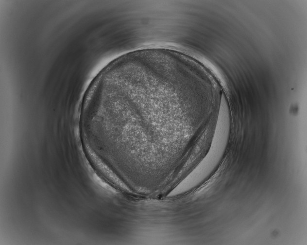 X0000099531102200806061426