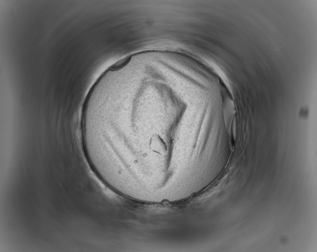 X0000099531103200806061426