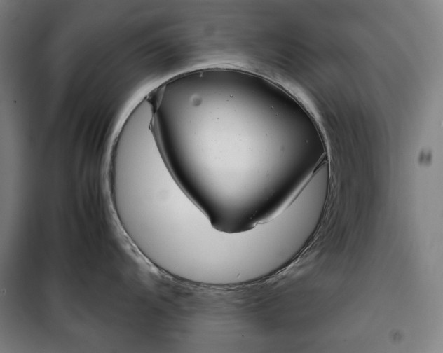 X0000099531104200806061426