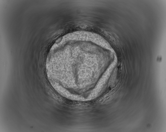 X0000099531105200806061425