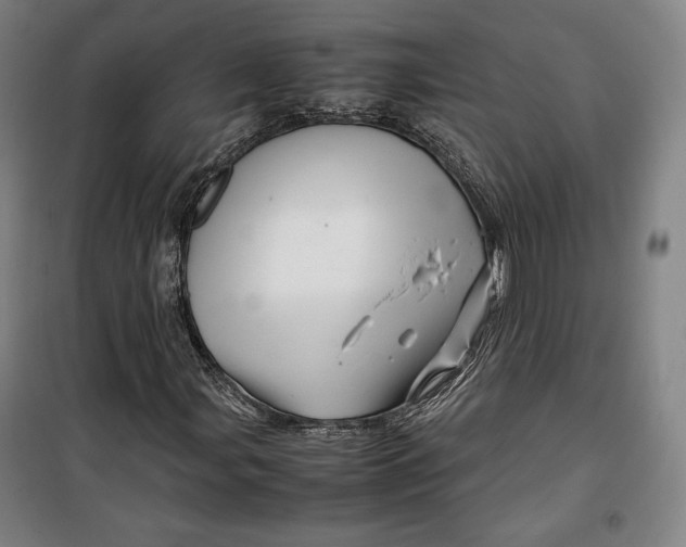 X0000099531107200806061425