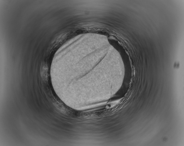 X0000099531108200806061425