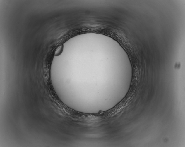 X0000099531109200806061425