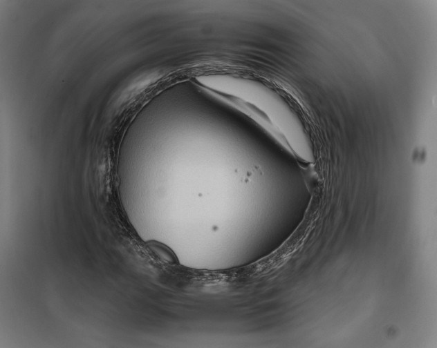 X0000099531111200806061425