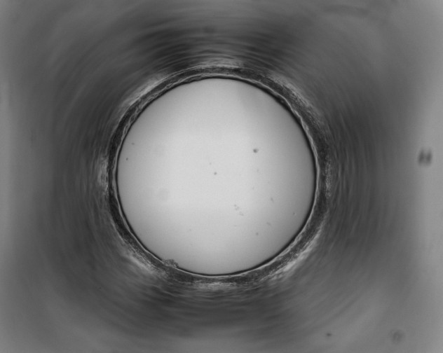 X0000099531113200806061425