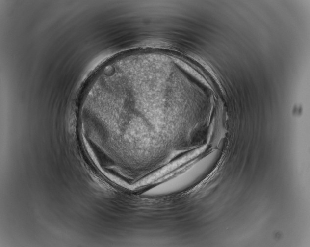 X0000099531115200806061425