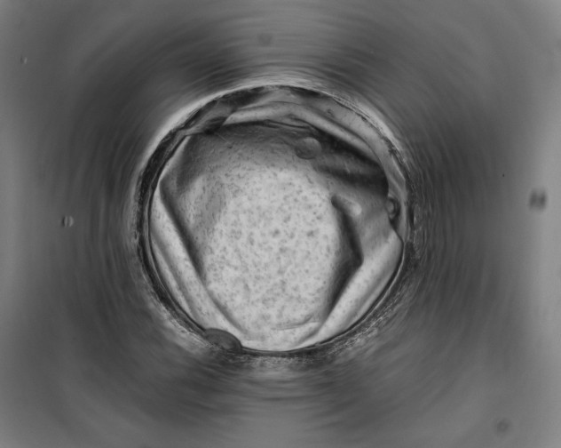 X0000099531116200806061425