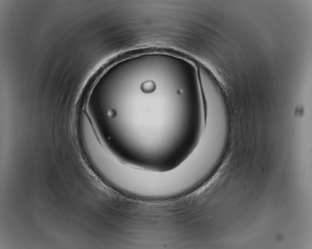 X0000099531118200806061425