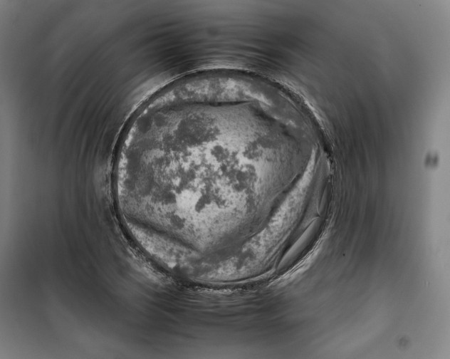 X0000099531121200806061425