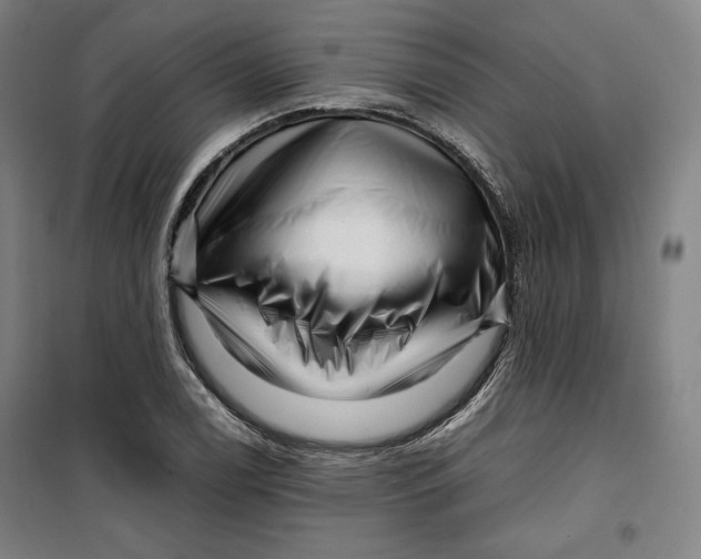 X0000099531122200806061425