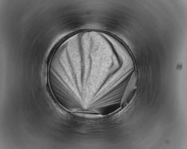 X0000099531123200806061425