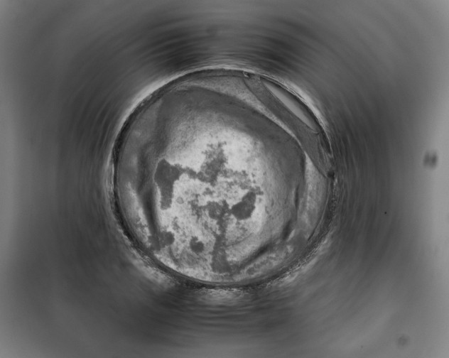 X0000099531125200806061425