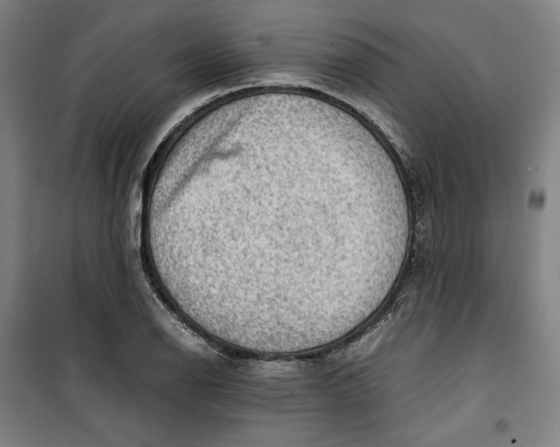 X0000099531126200806061425