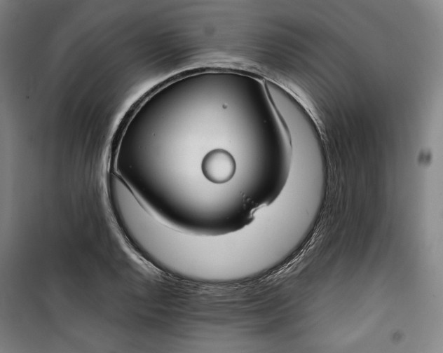 X0000099531128200806061425