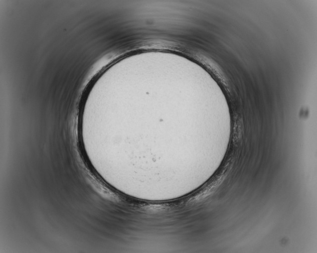 X0000099531130200806061425