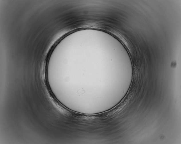 X0000099531131200806061425