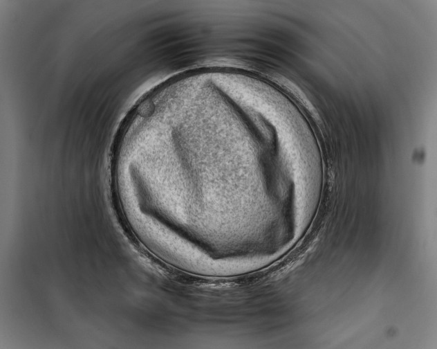 X0000099531133200806061425