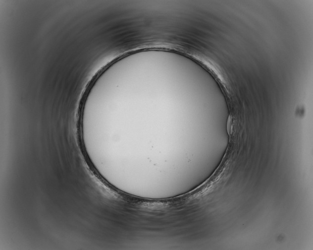 X0000099531135200806061425