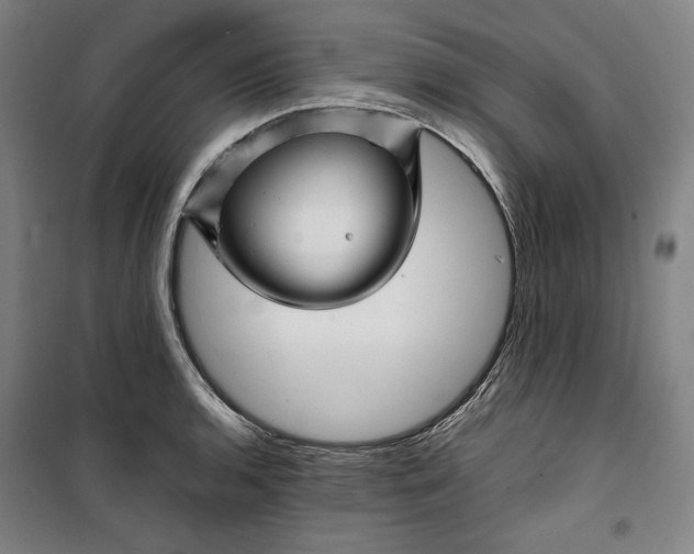 X0000099531136200806061425