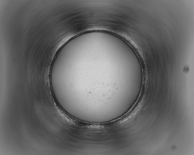 X0000099531137200806061425