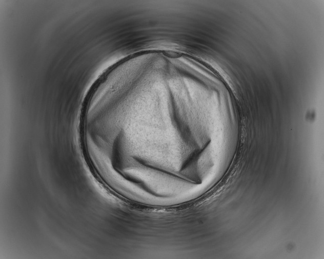 X0000099531139200806061425