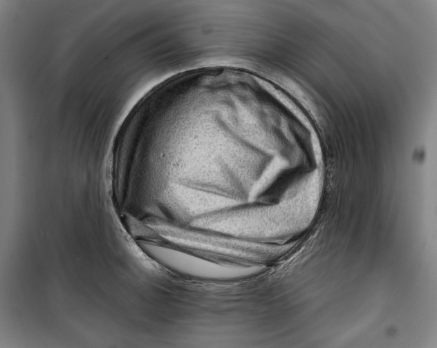 X0000099531140200806061425