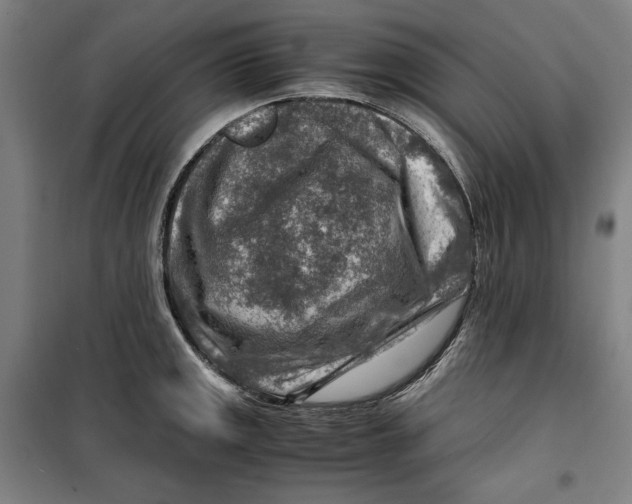 X0000099531141200806061425