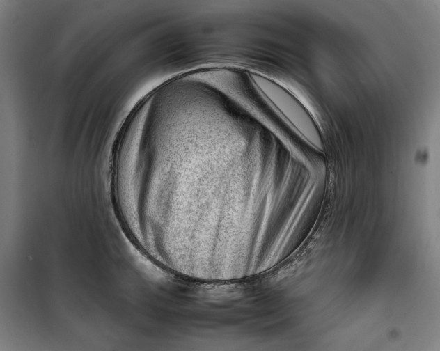 X0000099531143200806061425