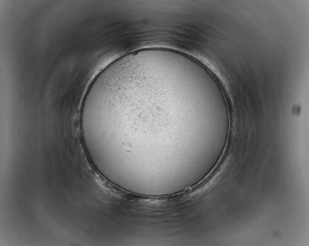 X0000099531145200806061425