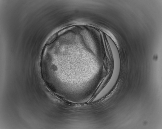 X0000099531146200806061425