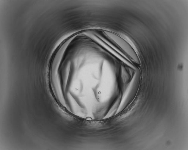 X0000099531149200806061426