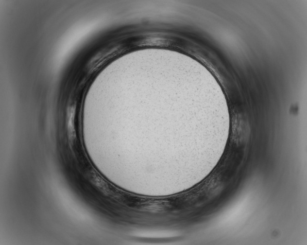 X0000099531150200806061426