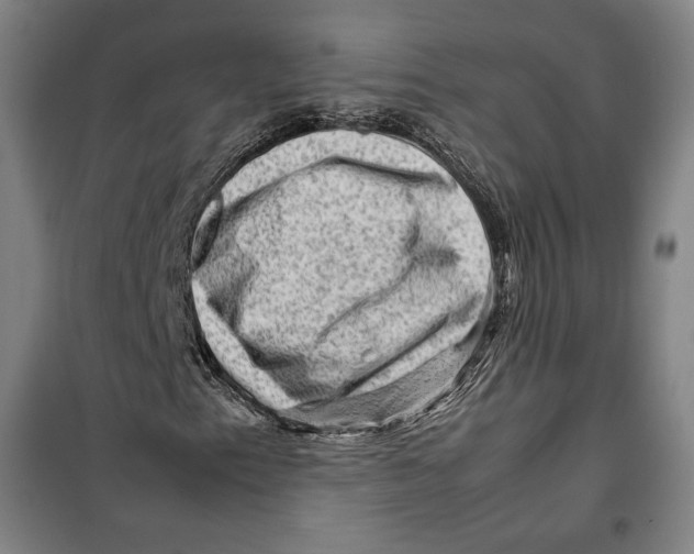 X0000099531153200806061425