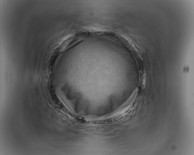 X0000099531157200806061425