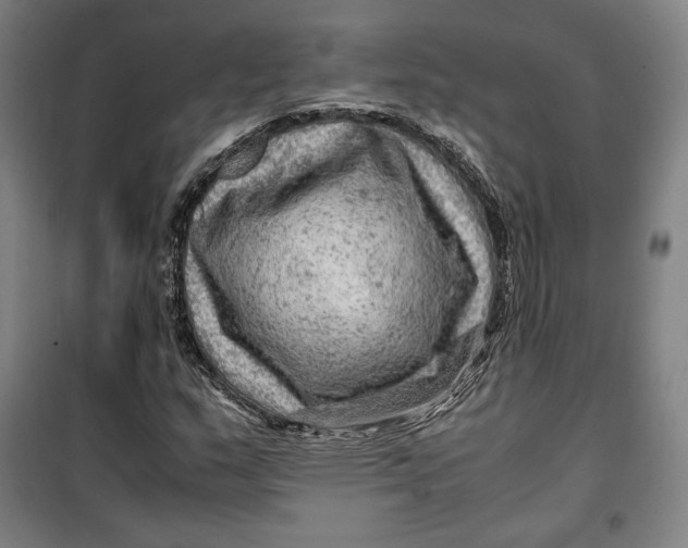 X0000099531159200806061425