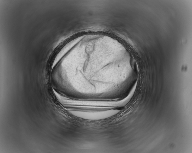 X0000099531160200806061425