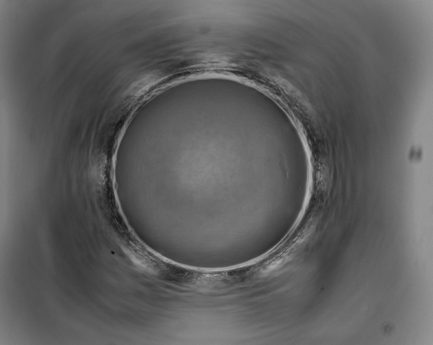 X0000099531161200806061425