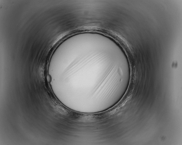 X0000099531162200806061425