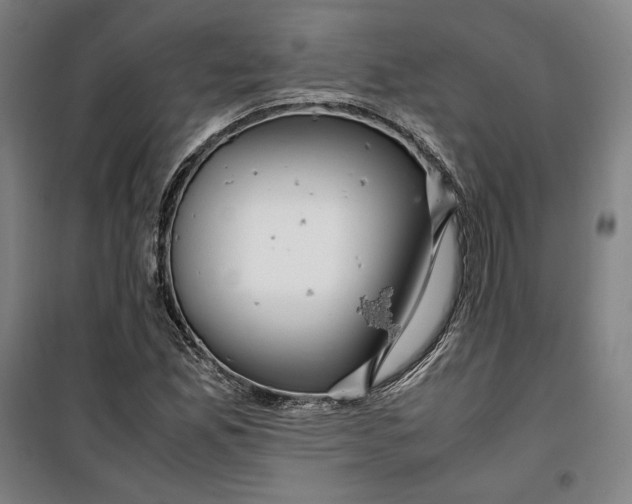 X0000099531165200806061425