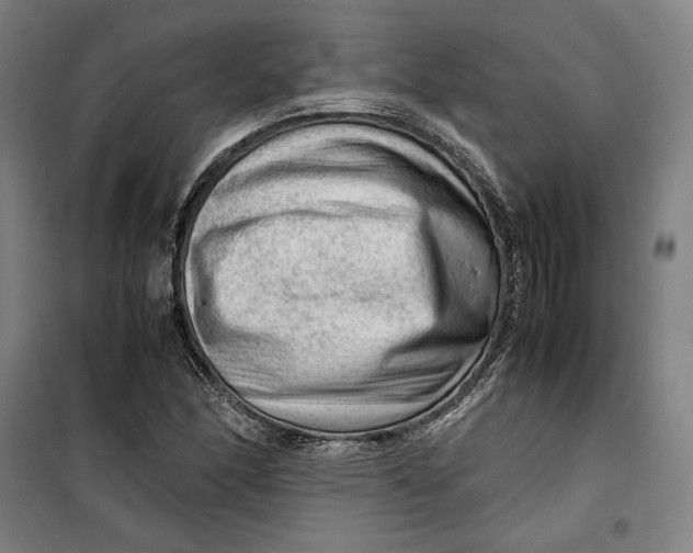 X0000099531166200806061425