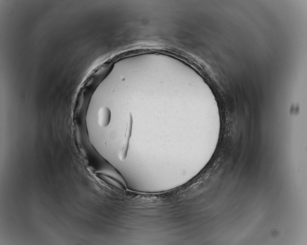 X0000099531168200806061425