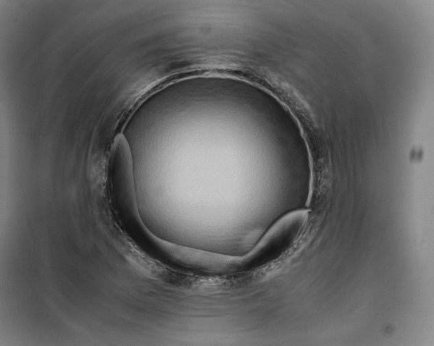 X0000099531169200806061425