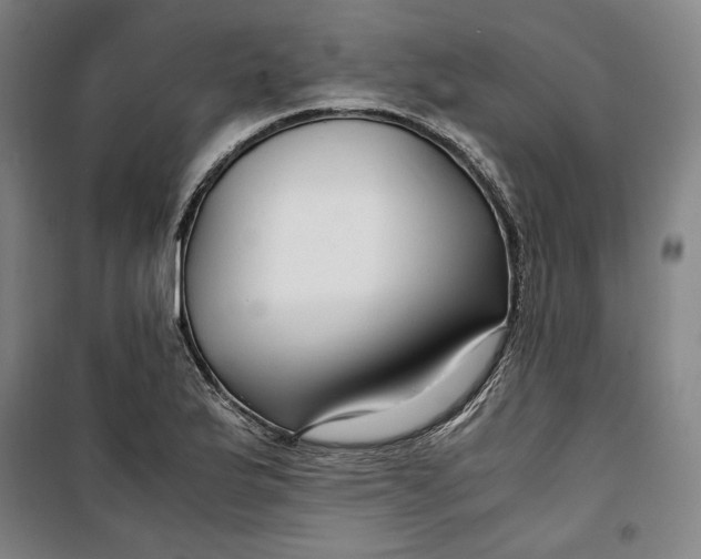 X0000099531175200806061425