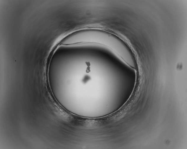 X0000099531176200806061425