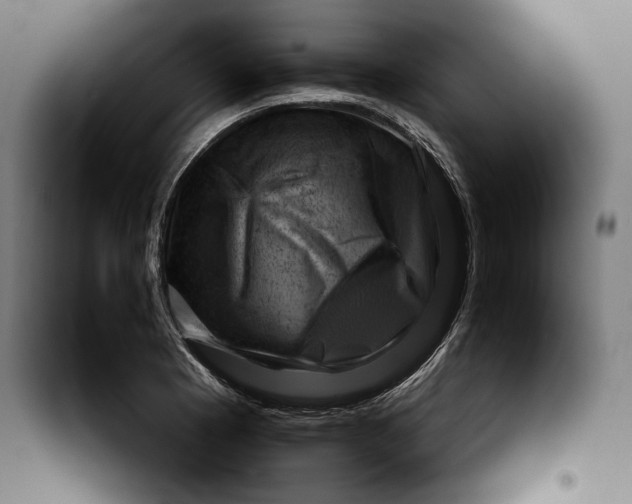 X0000099531177200806061424